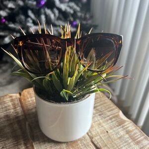 Stylish Tortoise Shell Sunglasses Planter